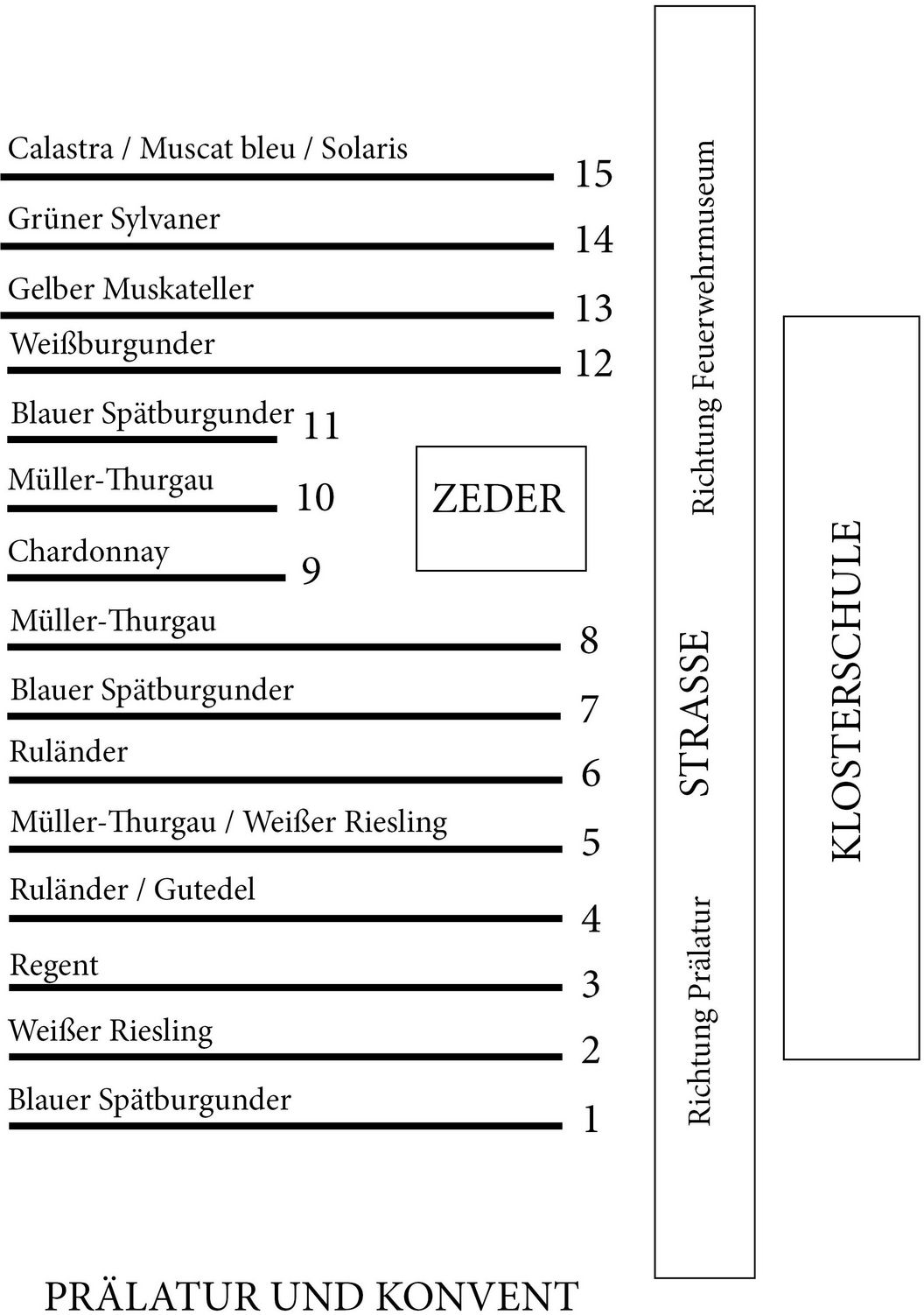 Kloster und Schloss Salem, Plan des Schauweinbergs