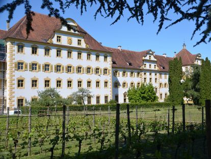 Kloster und Schloss Salem, Schauweinberg